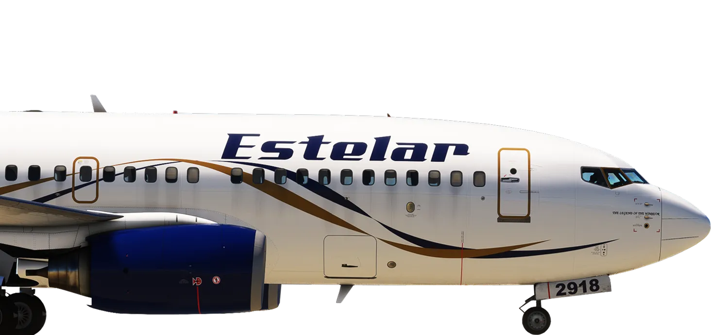 Estelar Virtual's Boeing 737-700 YV2918